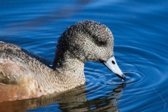 IMG_7500